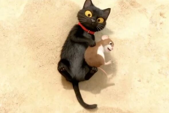 微信图片_2025-10-28_093959_321 微信图片_2025-10-28_093959_321