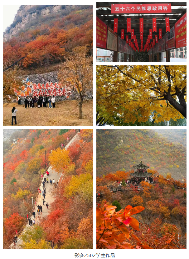 微信图片_20251110111022_212_3