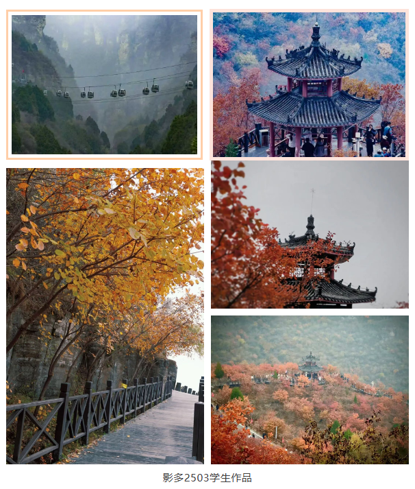 微信图片_20251110111040_213_3